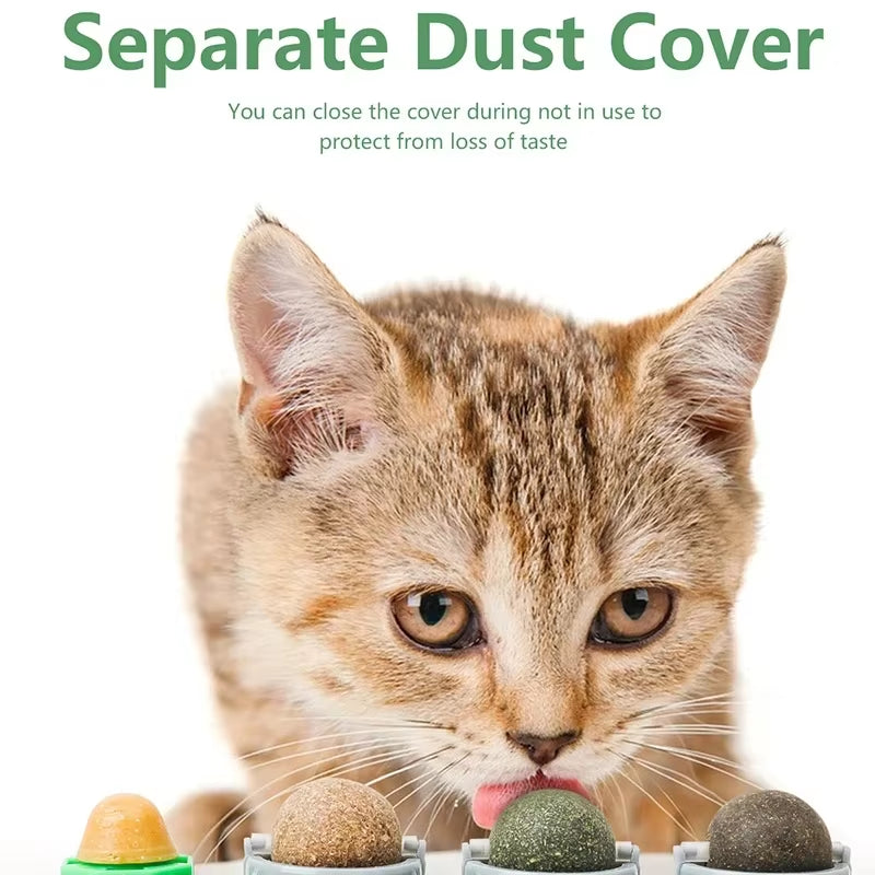 4 in 1 Rotating Catnip Silver Vine Ball Teeth Cleaning Acne Prevention Digestive Health Wall Stick on Toy Edible Safe Material