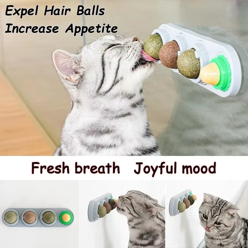 4 in 1 Rotating Catnip Silver Vine Ball Teeth Cleaning Acne Prevention Digestive Health Wall Stick on Toy Edible Safe Material